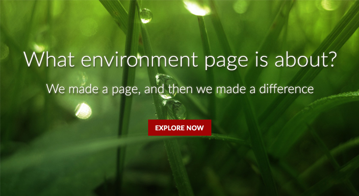 About our environment page 