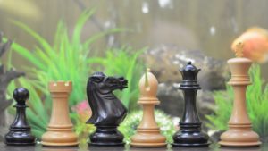 The Giant Monstrous Series Staunton Chess Pieces in Ebony & Box Wood