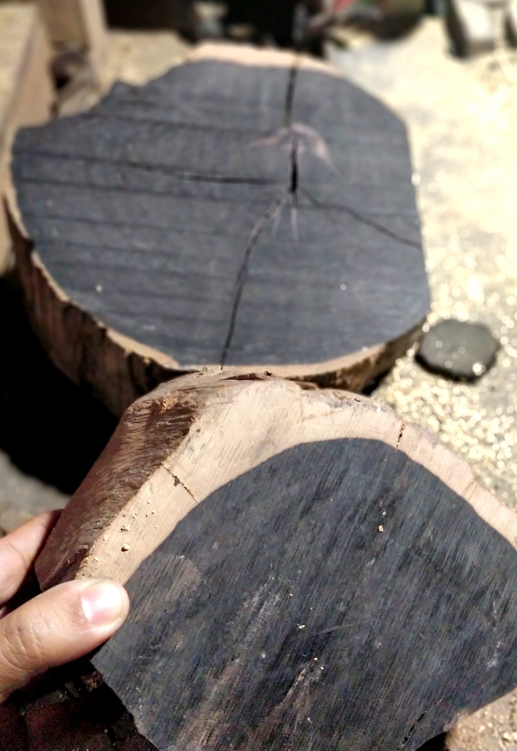 How Ebony Wood Look like