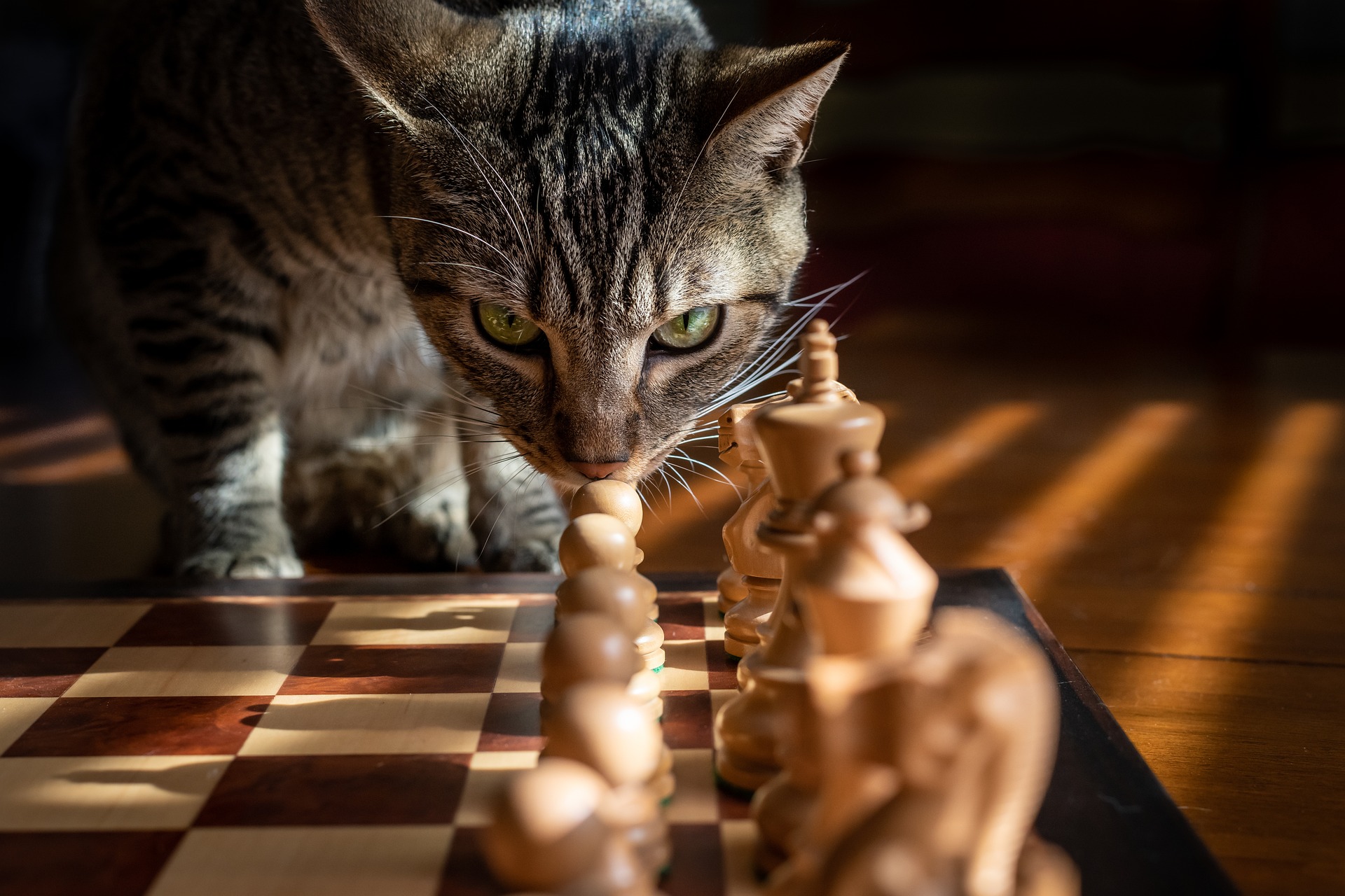 Chess but if a piece lands on an opposing piece, no capture is made.  Instead, a side game of Chess is played to determine which piece gets to  stay on that square 